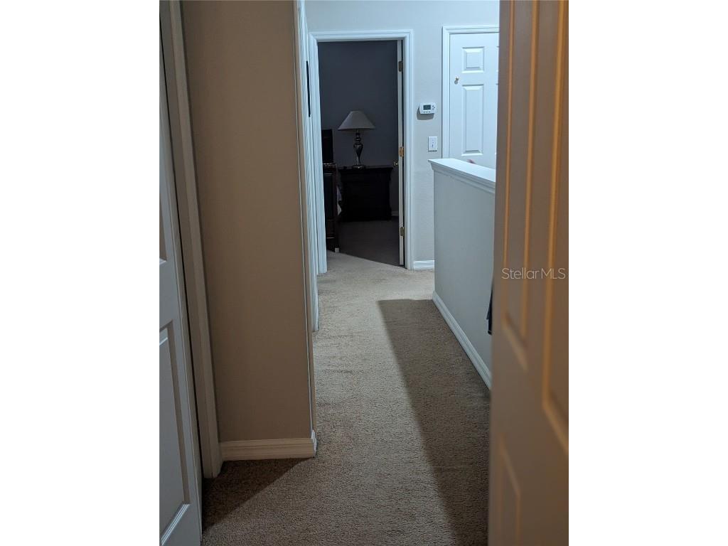 10005 Tranquility Way Tampa FL 33625 FC313840 image23