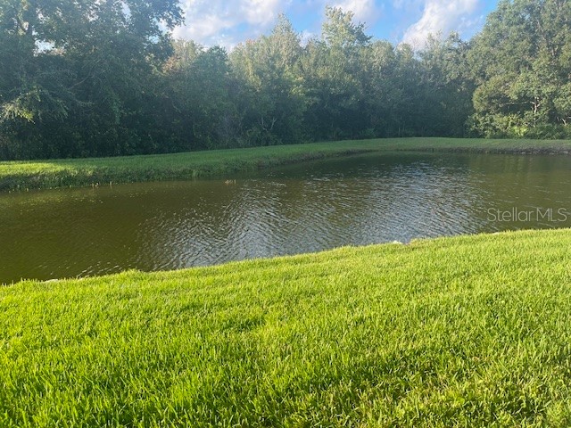 10005 Tranquility Way Tampa FL 33625 FC313840 image9