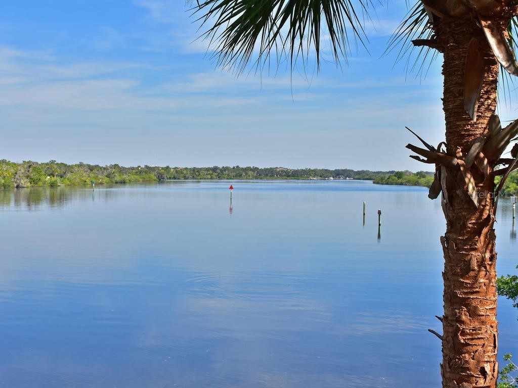 10006 Discovery Terrace Bradenton FL 34212 A4699103 image92