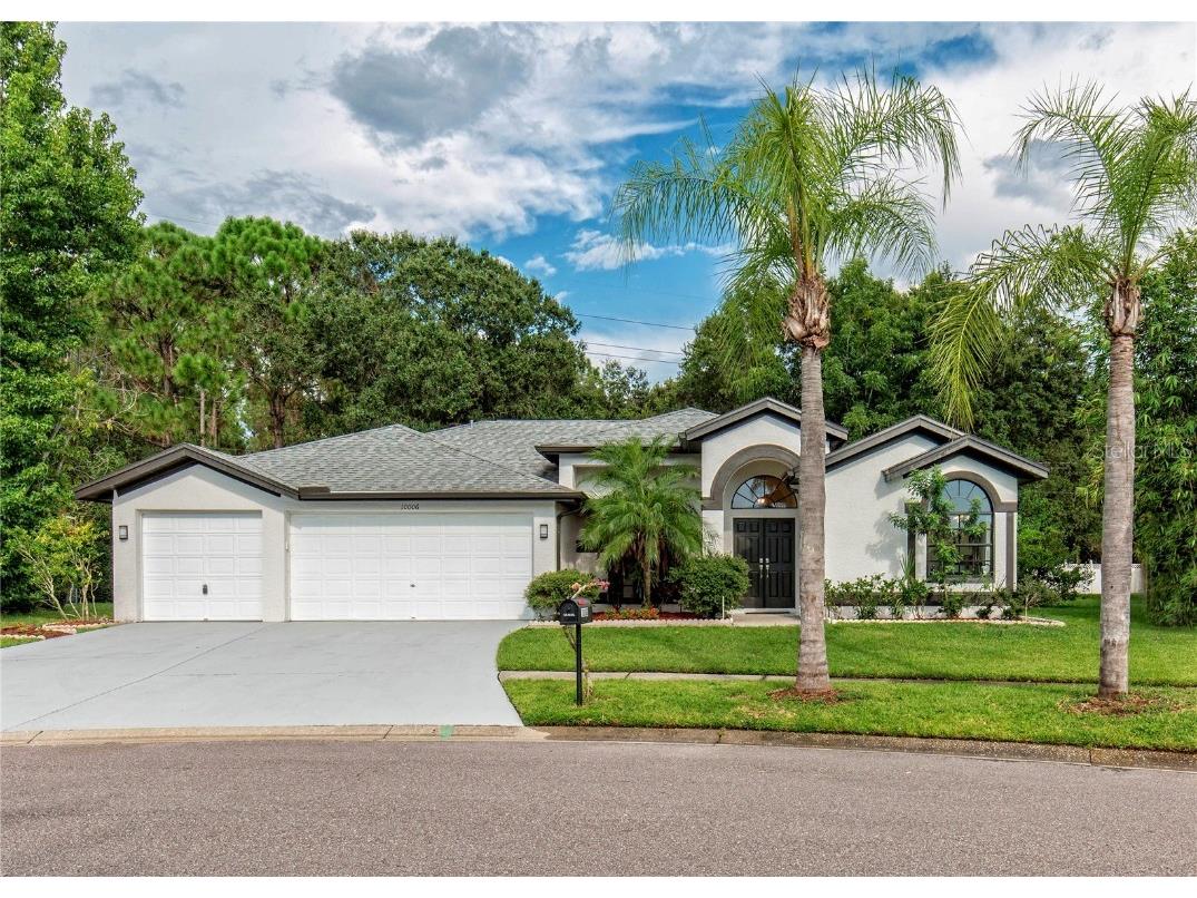 10006 Vista Pointe Dr Tampa FL 33635 U8247310 image1