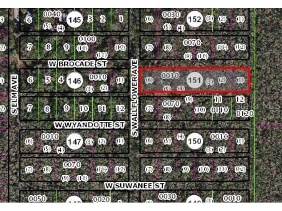 10006 W Brocade Street Homosassa FL 34448 TB8389358 image1