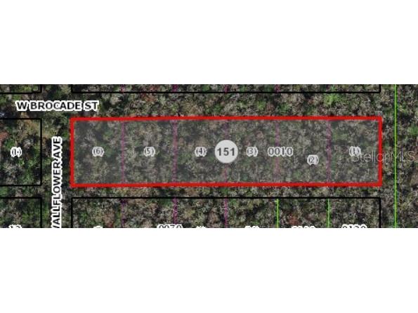 10006 W Brocade Street Homosassa FL 34448 TB8389358 image2