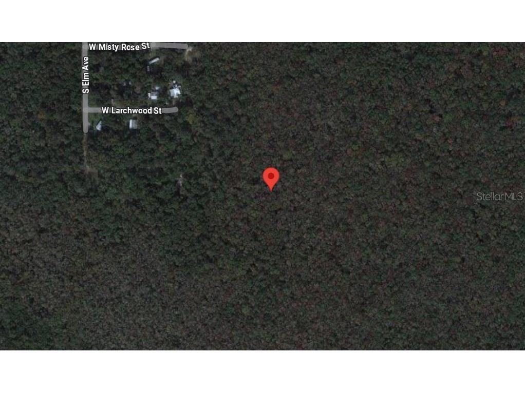 10006 W Brocade Street Homosassa FL 34448 TB8389358 image5