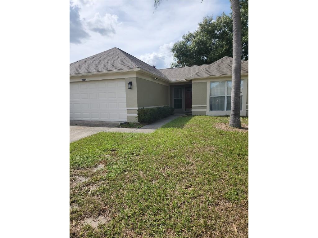 10007 Cedar Dune Drive Tampa FL 33624 T3481328 image1