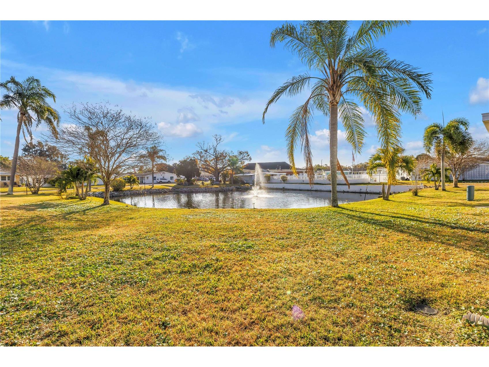 10007 Daffodil Street N #183 Pinellas Park FL 33782 TB8476805 image17