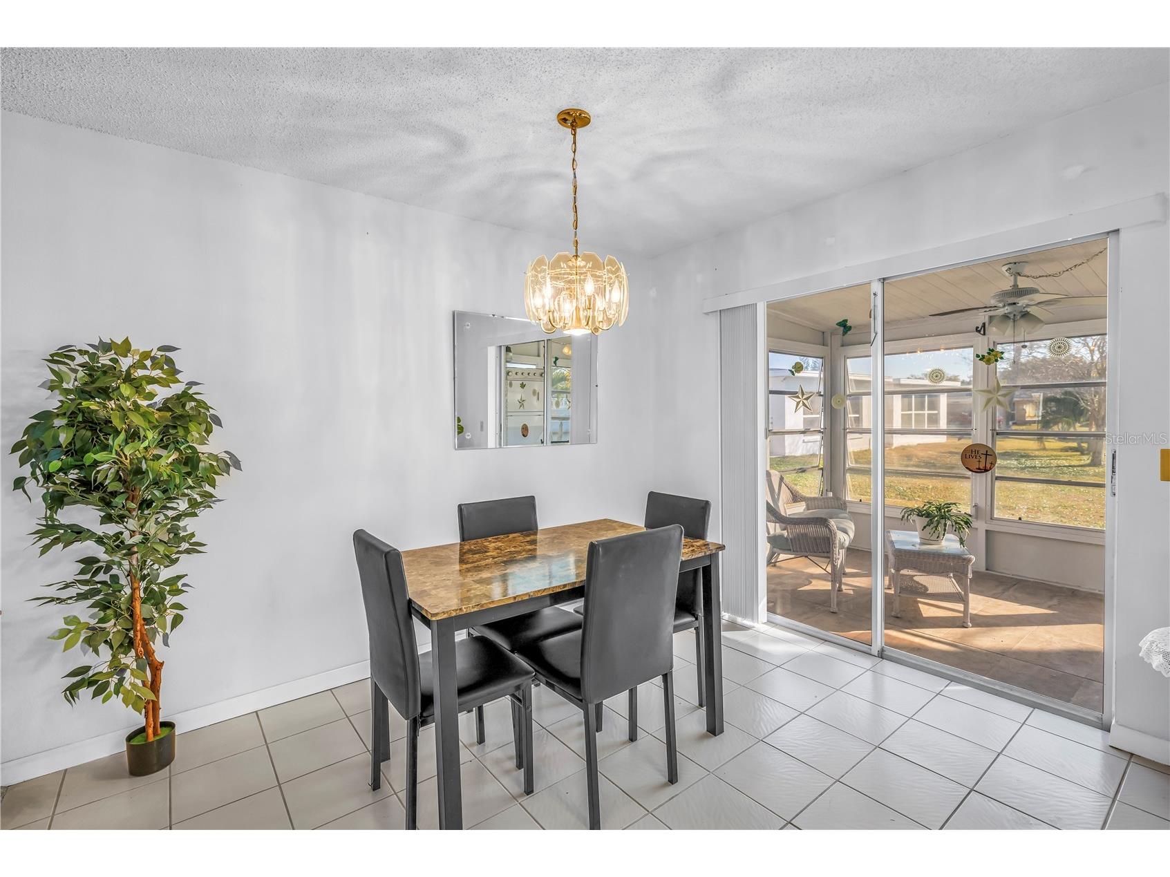 10007 Daffodil Street N #183 Pinellas Park FL 33782 TB8476805 image7