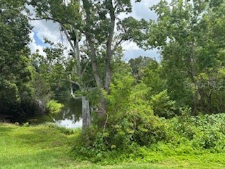 10007 Evanston Place Tampa FL 33624 TB8414566 image21