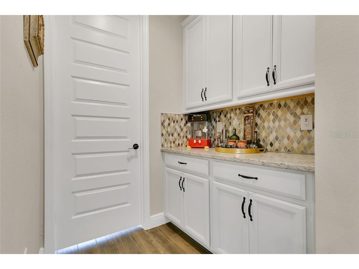 10007 Little Alcove Loop Winter Garden FL 34787 S5132434 image25