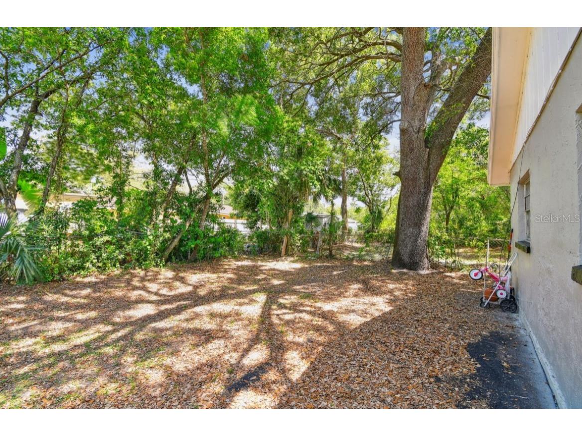 10007 N 10th Street Tampa FL 33612 TB8386870 image20