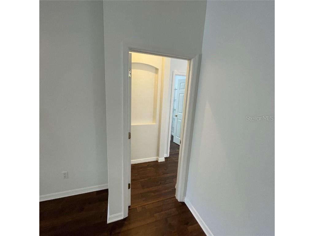 10007 Scottish Pines Court Orlando FL 32832 S5140380 image15