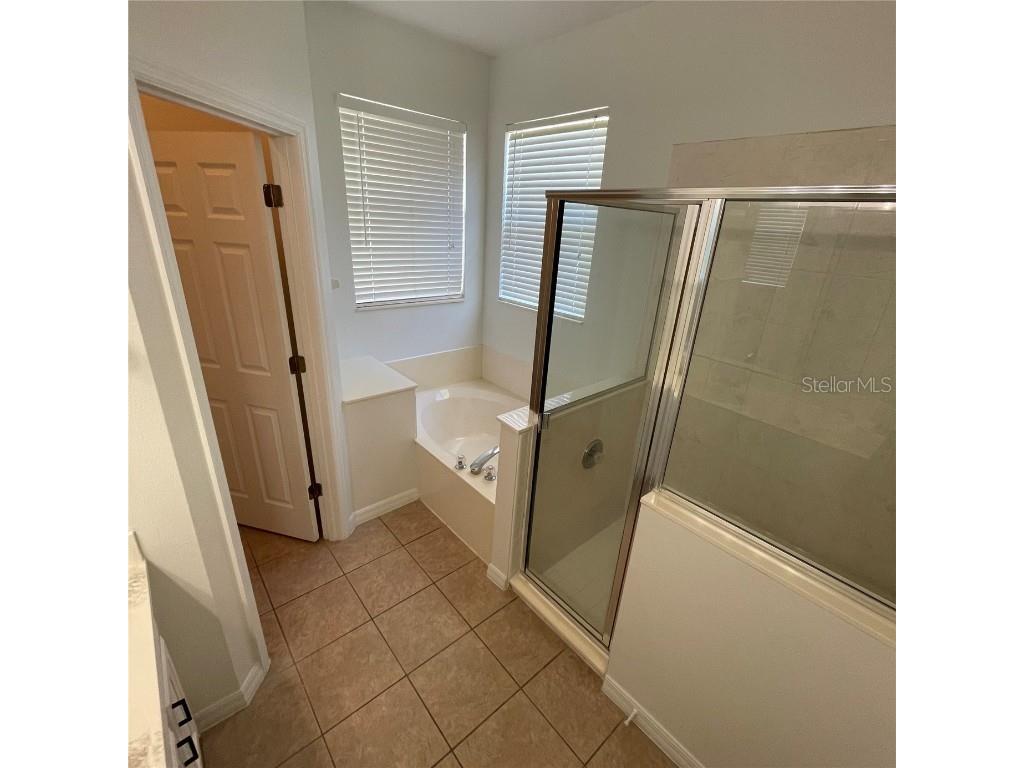 10007 Scottish Pines Court Orlando FL 32832 S5140380 image18