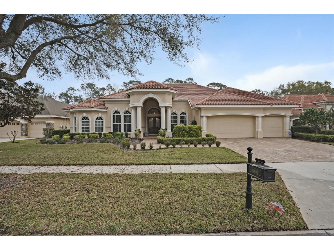 10007 Tree Tops Lake Road Tampa FL 33626 T3357367 image1