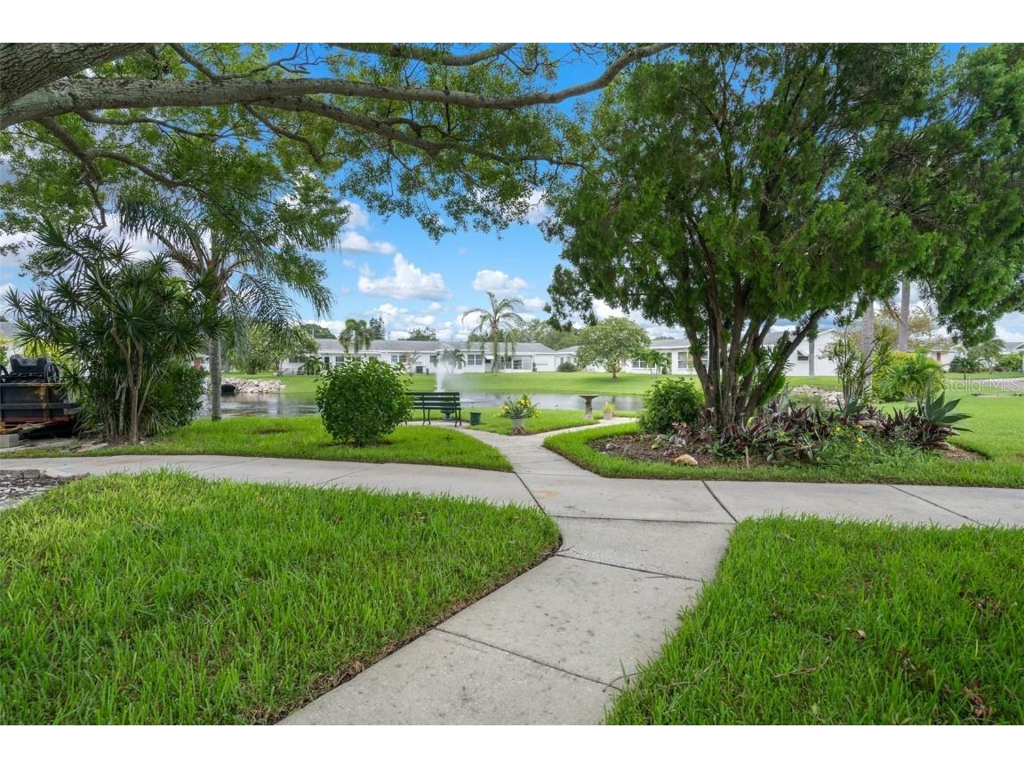 10008 Daffodil Street N #186 Pinellas Park FL 33782 TB8437239 image53