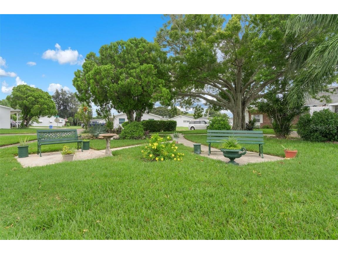 10008 Daffodil Street N #186 Pinellas Park FL 33782 TB8437239 image54