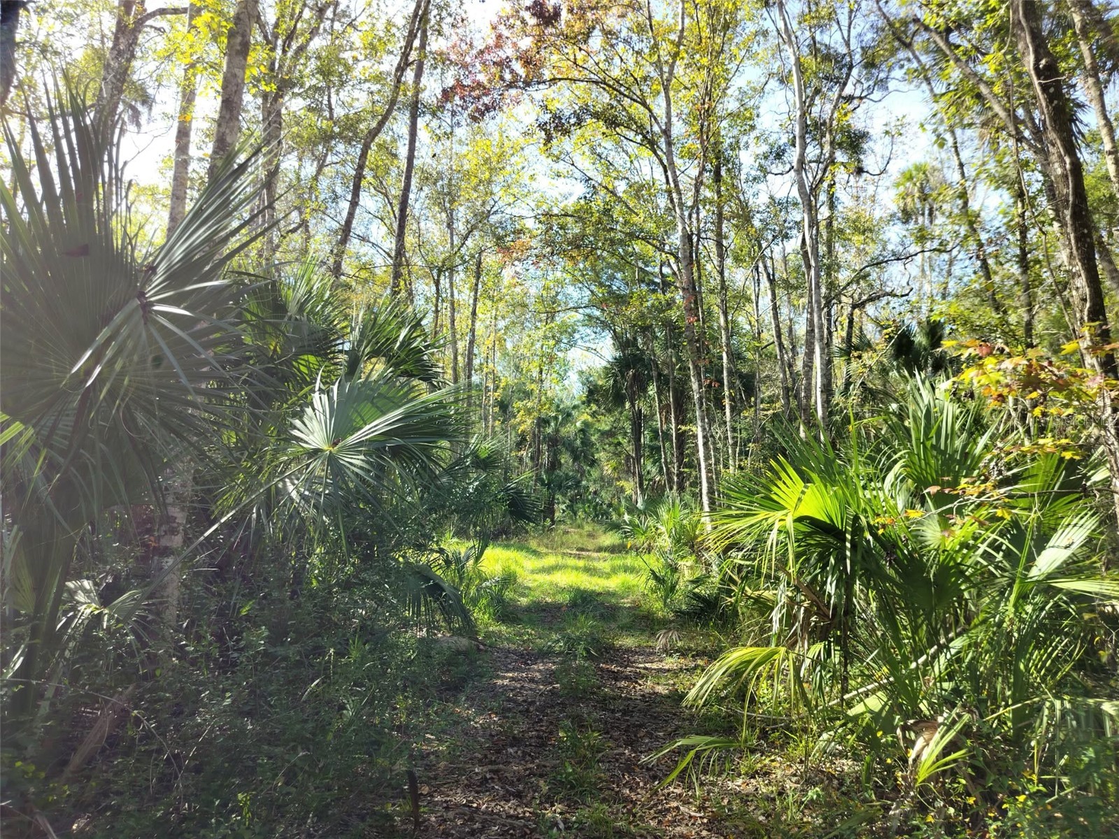 10008 W Pennsylvania Street Homosassa FL 34448 TB8446563 image13