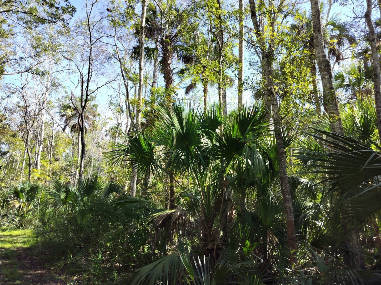 10008 W Pennsylvania Street Homosassa FL 34448 TB8446563 image14
