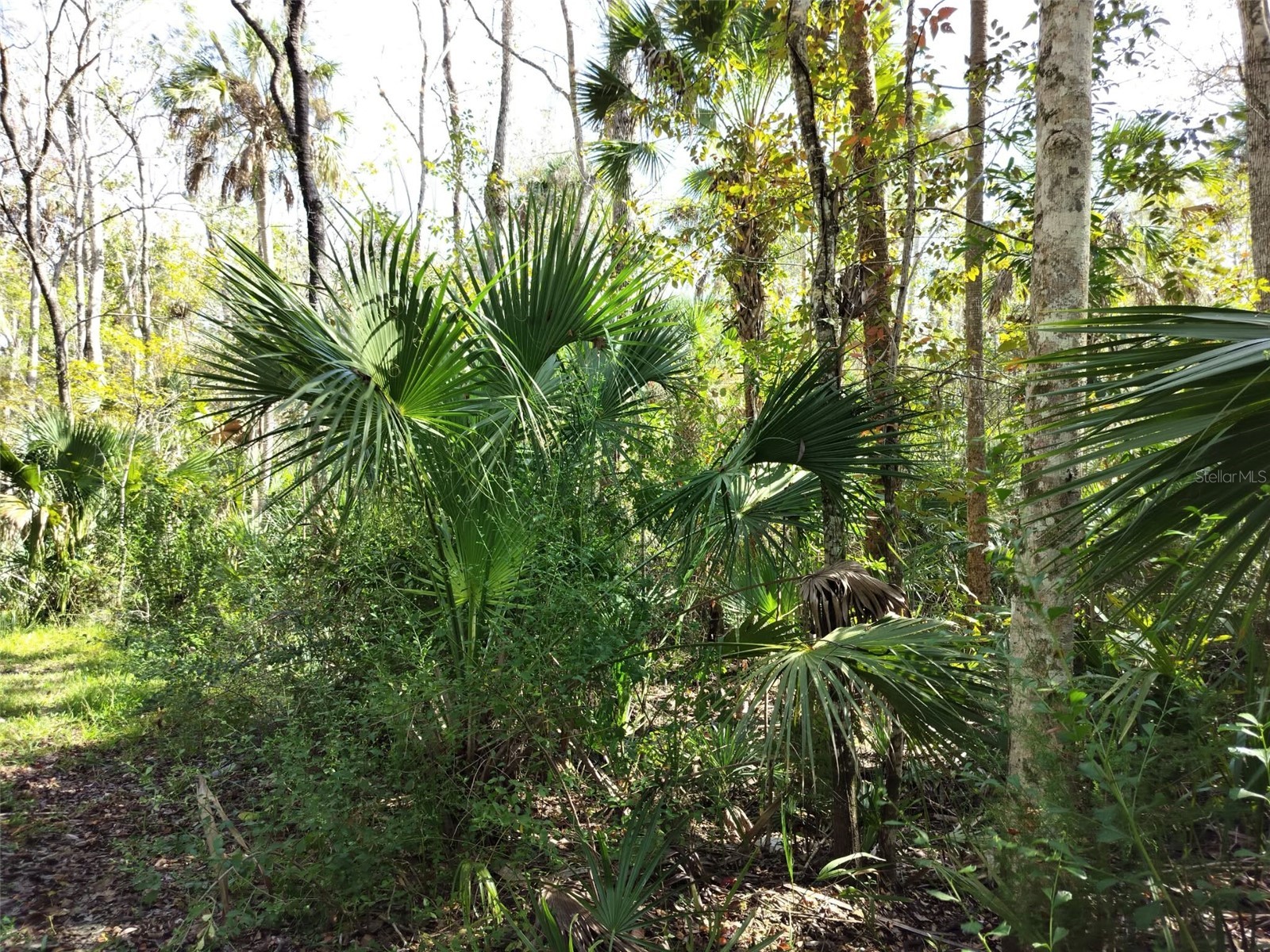10008 W Pennsylvania Street Homosassa FL 34448 TB8446563 image15