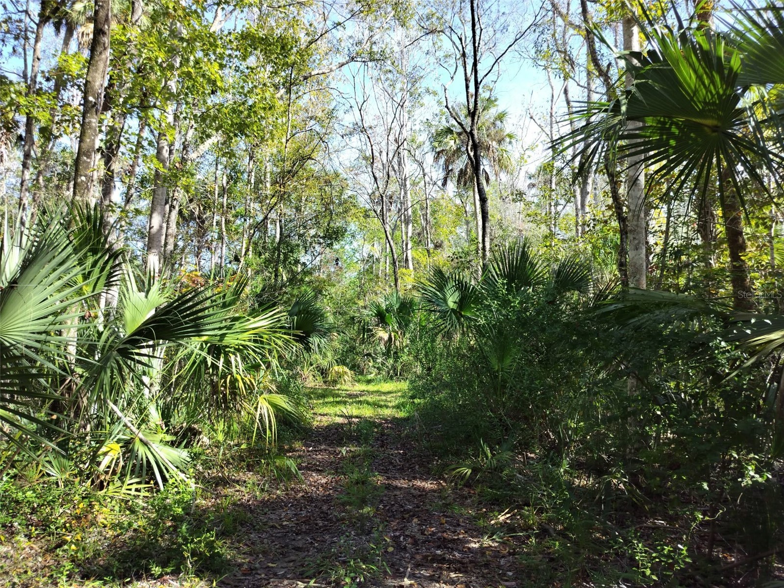 10008 W Pennsylvania Street Homosassa FL 34448 TB8446563 image2