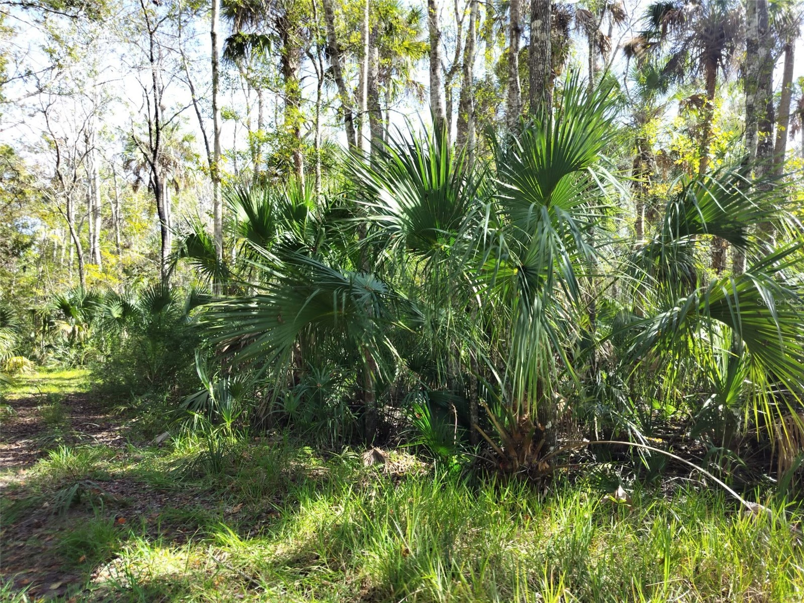 10008 W Pennsylvania Street Homosassa FL 34448 TB8446563 image3