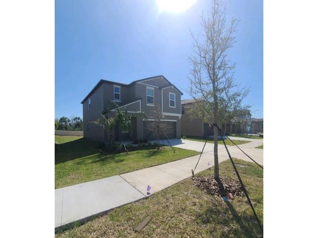 10009 Calypso Orchid Court Riverview FL 33578 T3437034 image1