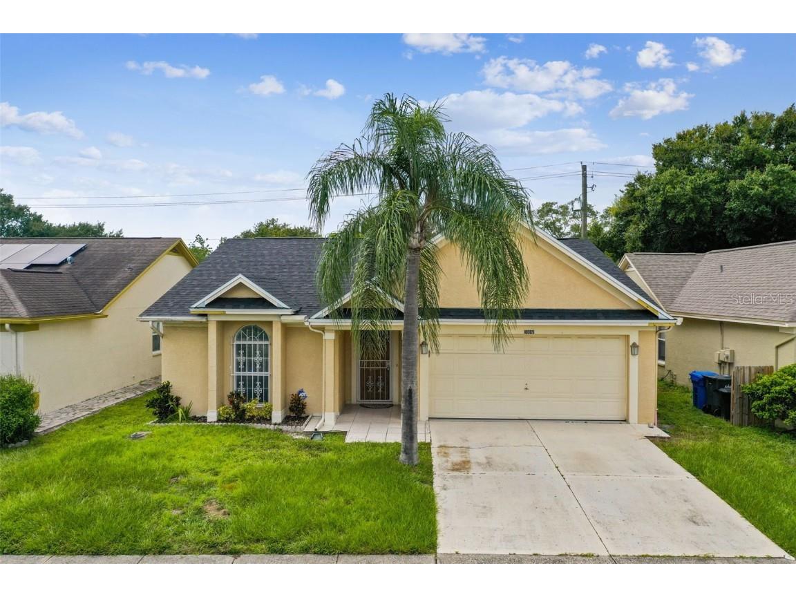 10009 Cedar Dune Drive Tampa FL 33624 T3543962 image1