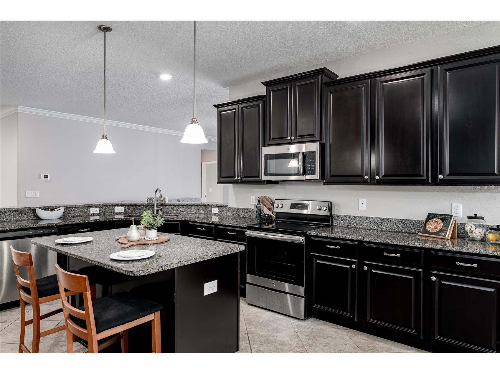10009 Celtic Ash Drive Ruskin FL 33573 A4698346 image11