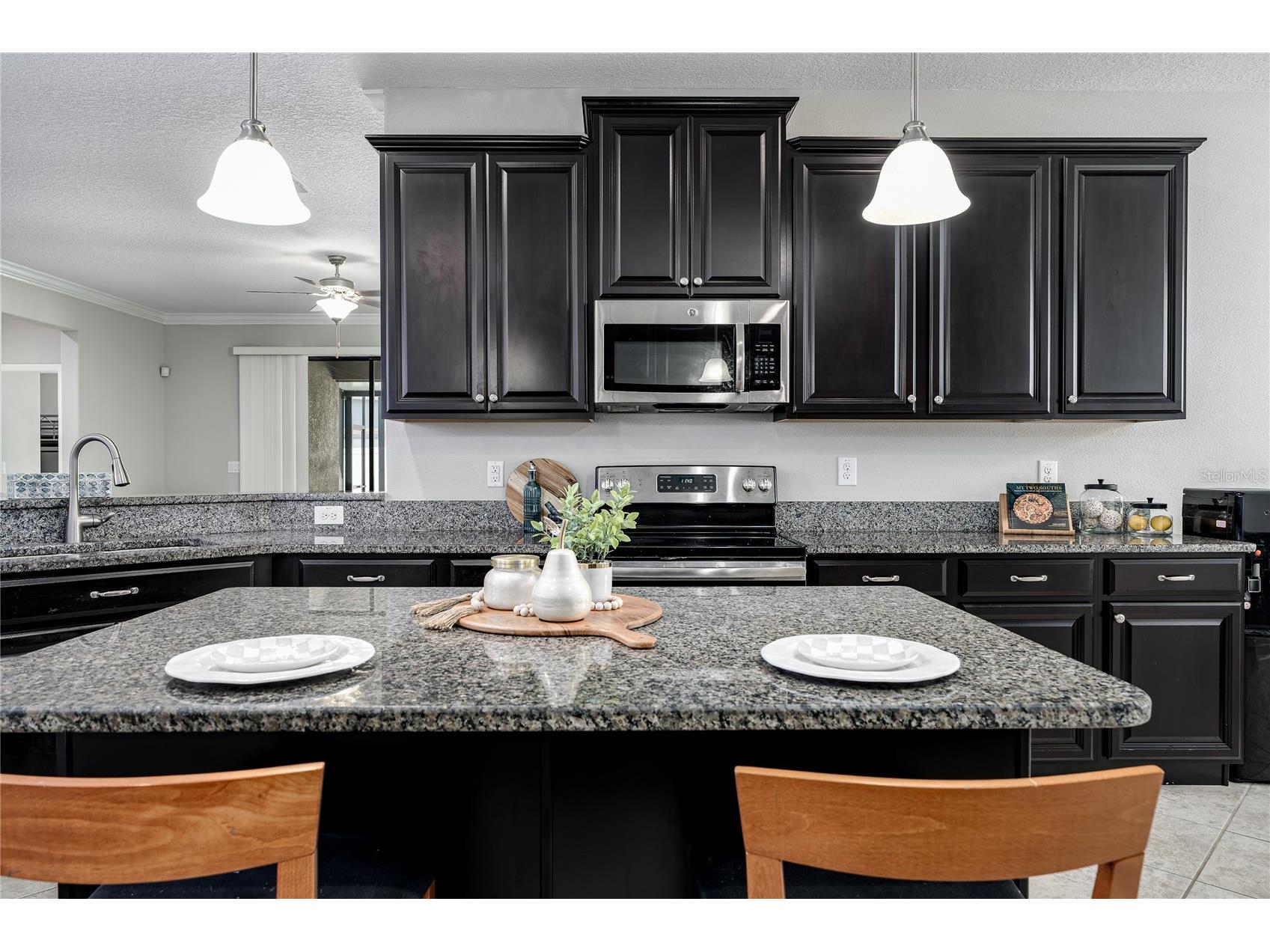 10009 Celtic Ash Drive Ruskin FL 33573 A4698346 image12