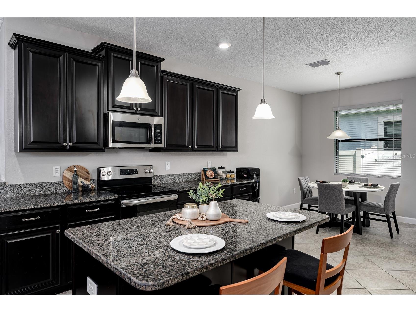 10009 Celtic Ash Drive Ruskin FL 33573 A4698346 image13