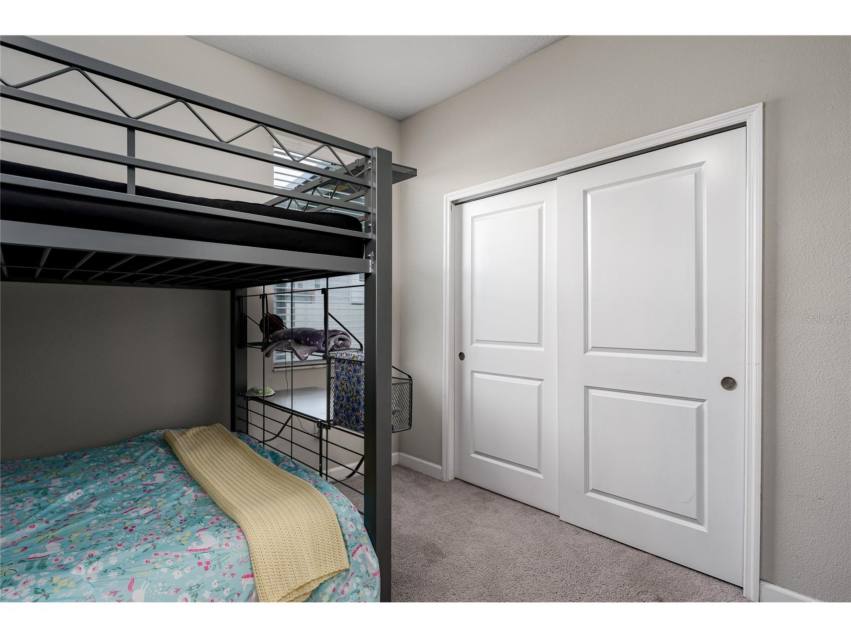 10009 Celtic Ash Drive Ruskin FL 33573 A4698346 image22
