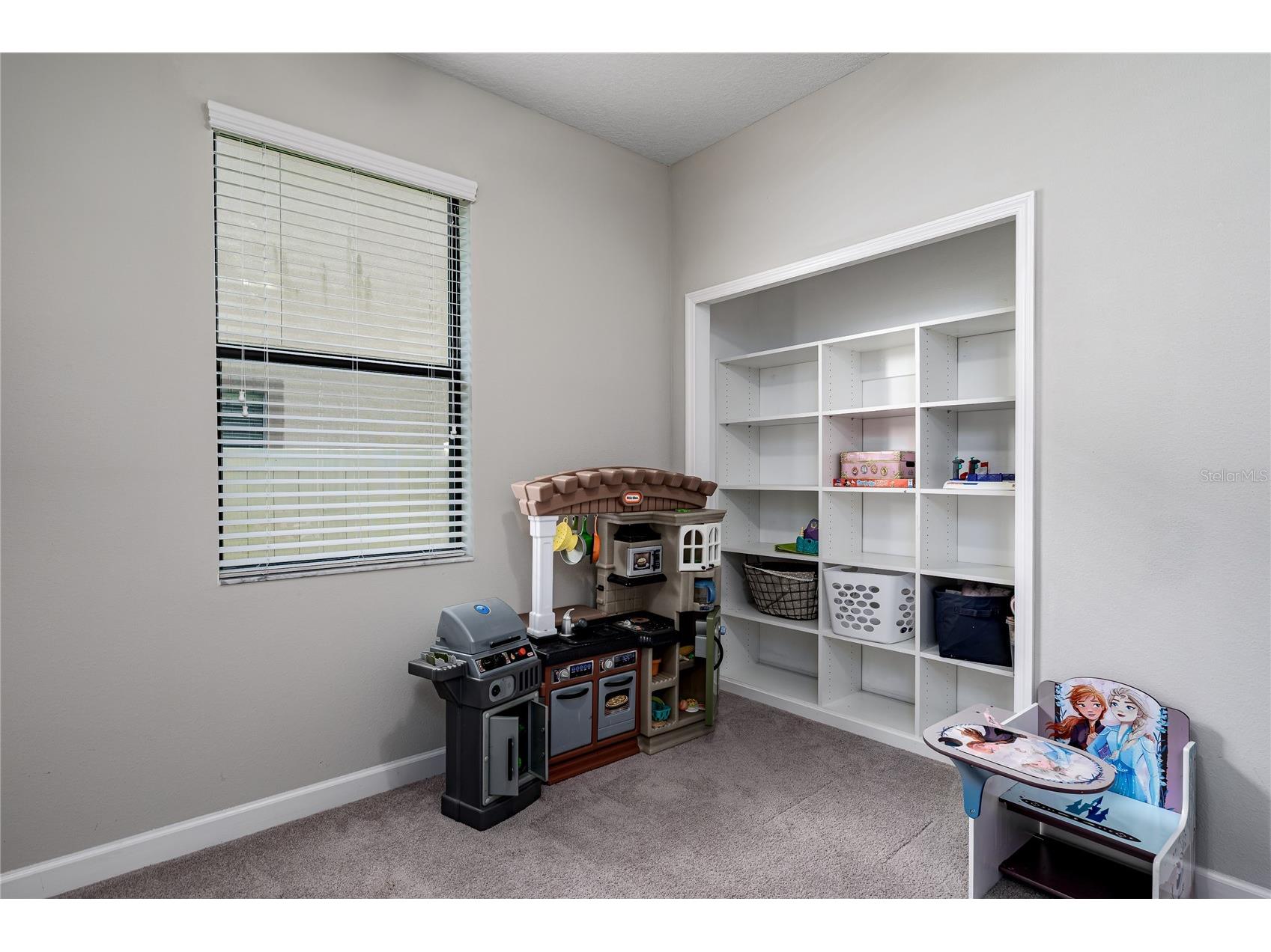 10009 Celtic Ash Drive Ruskin FL 33573 A4698346 image26