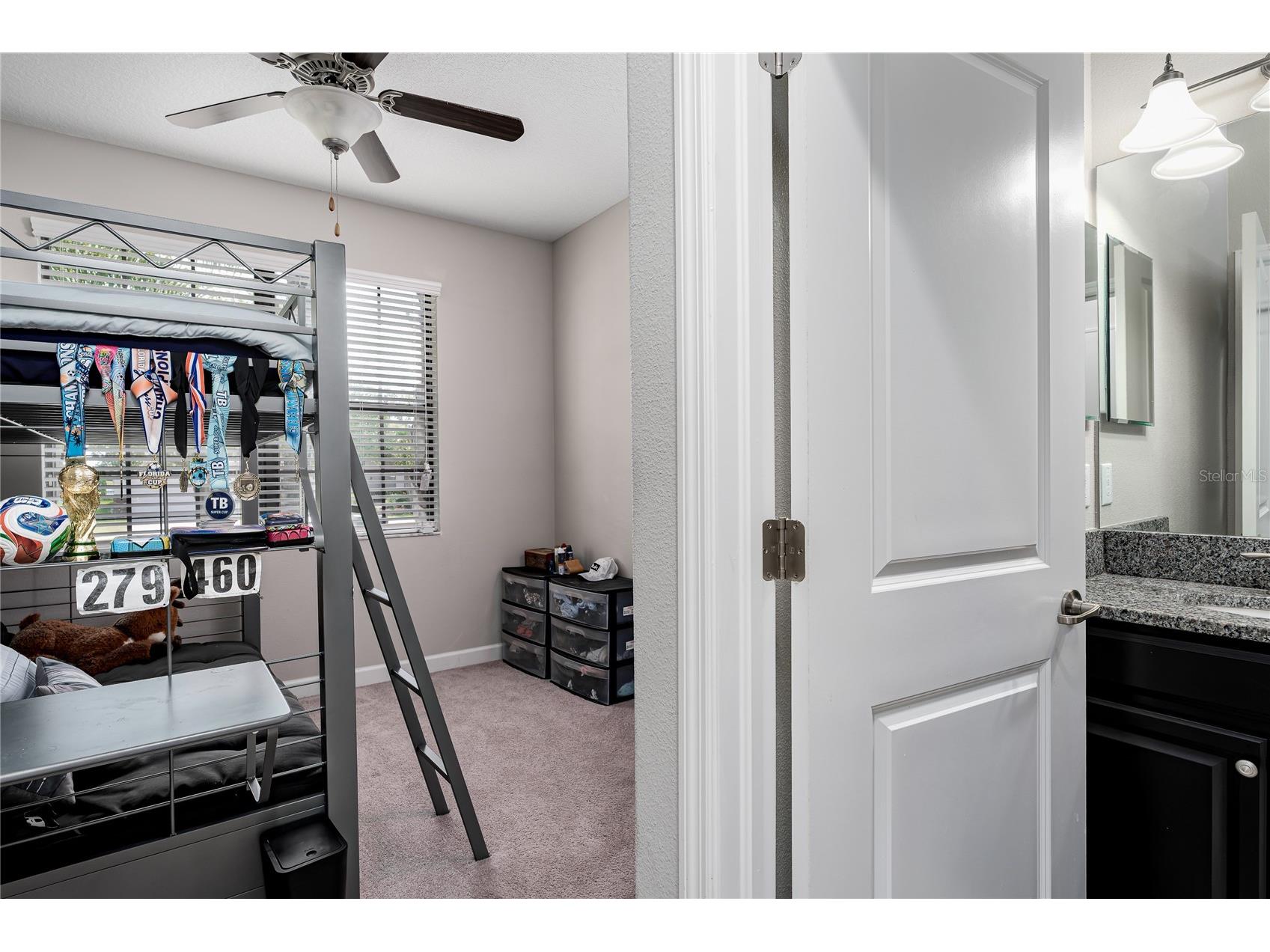 10009 Celtic Ash Drive Ruskin FL 33573 A4698346 image28
