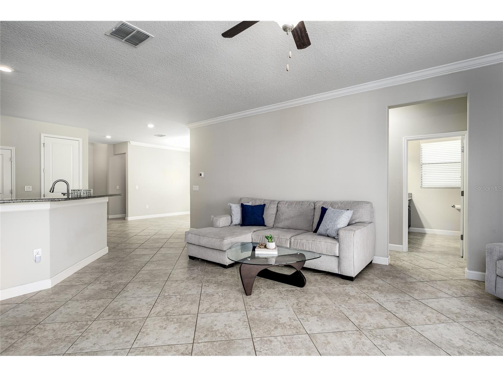 10009 Celtic Ash Drive Ruskin FL 33573 A4698346 image6