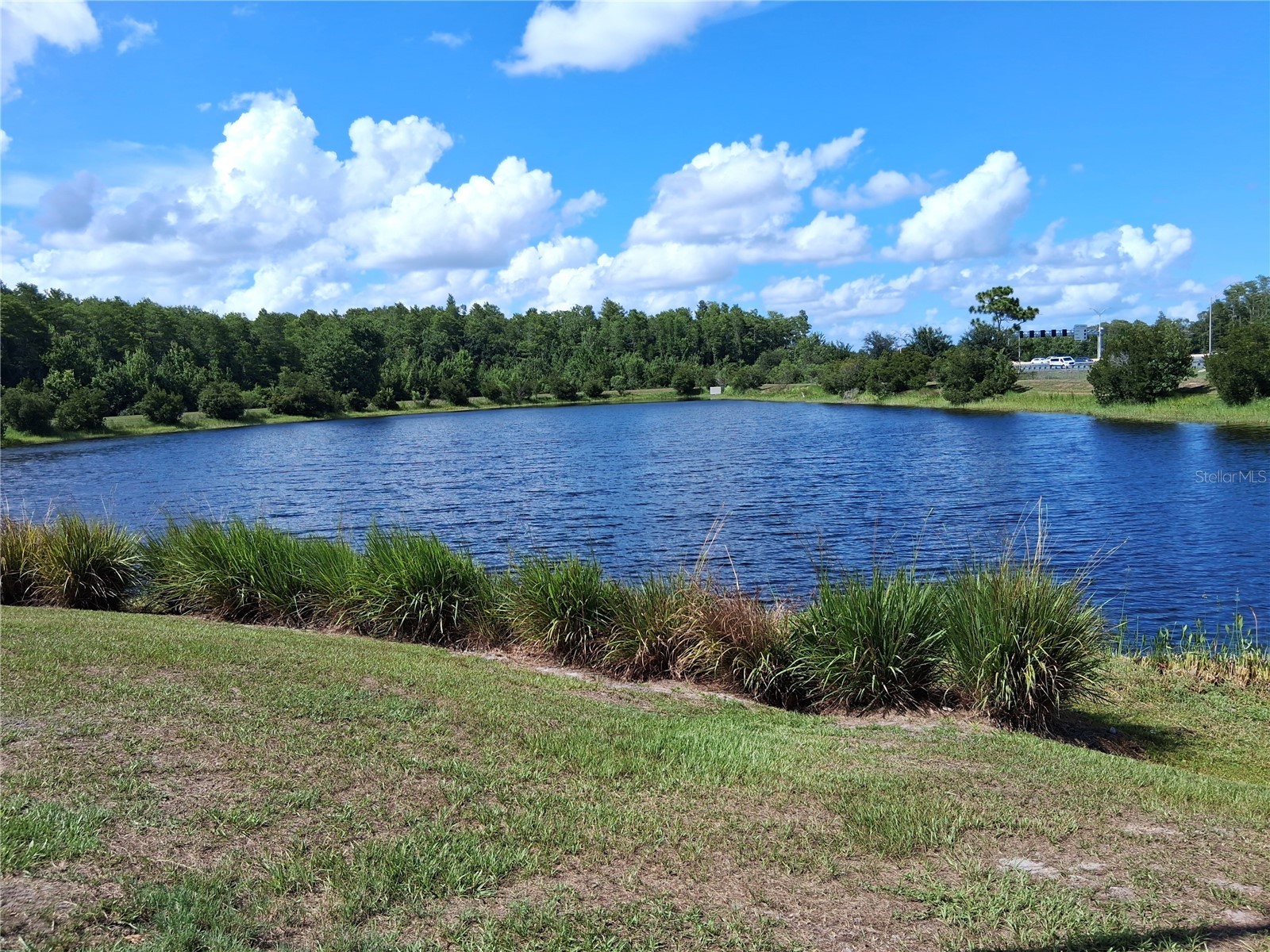 10009 Eagle Rock Alley Orlando FL 32832 O6422040 image34