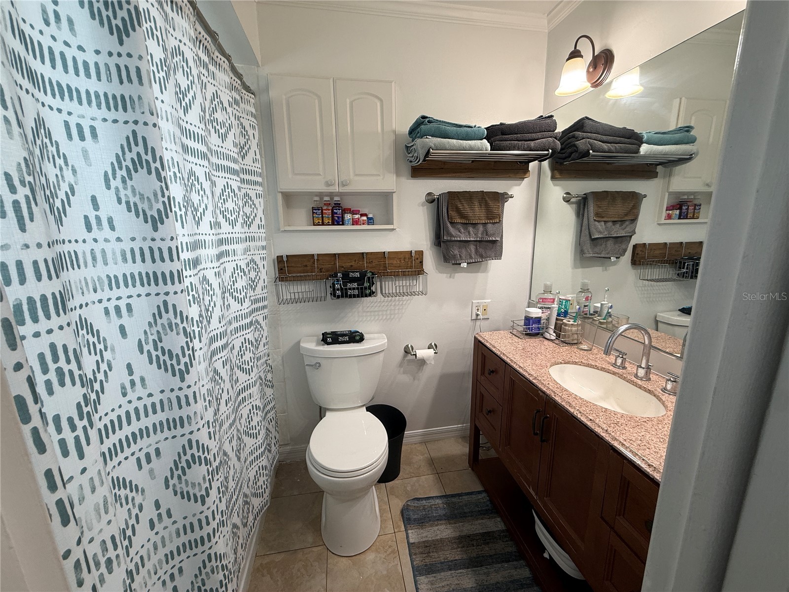 10009 Regal Woods Lane Tampa FL 33624 TB8524472 image11