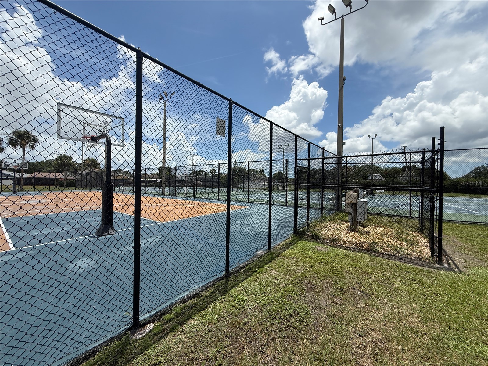 10009 Regal Woods Lane Tampa FL 33624 TB8524472 image30