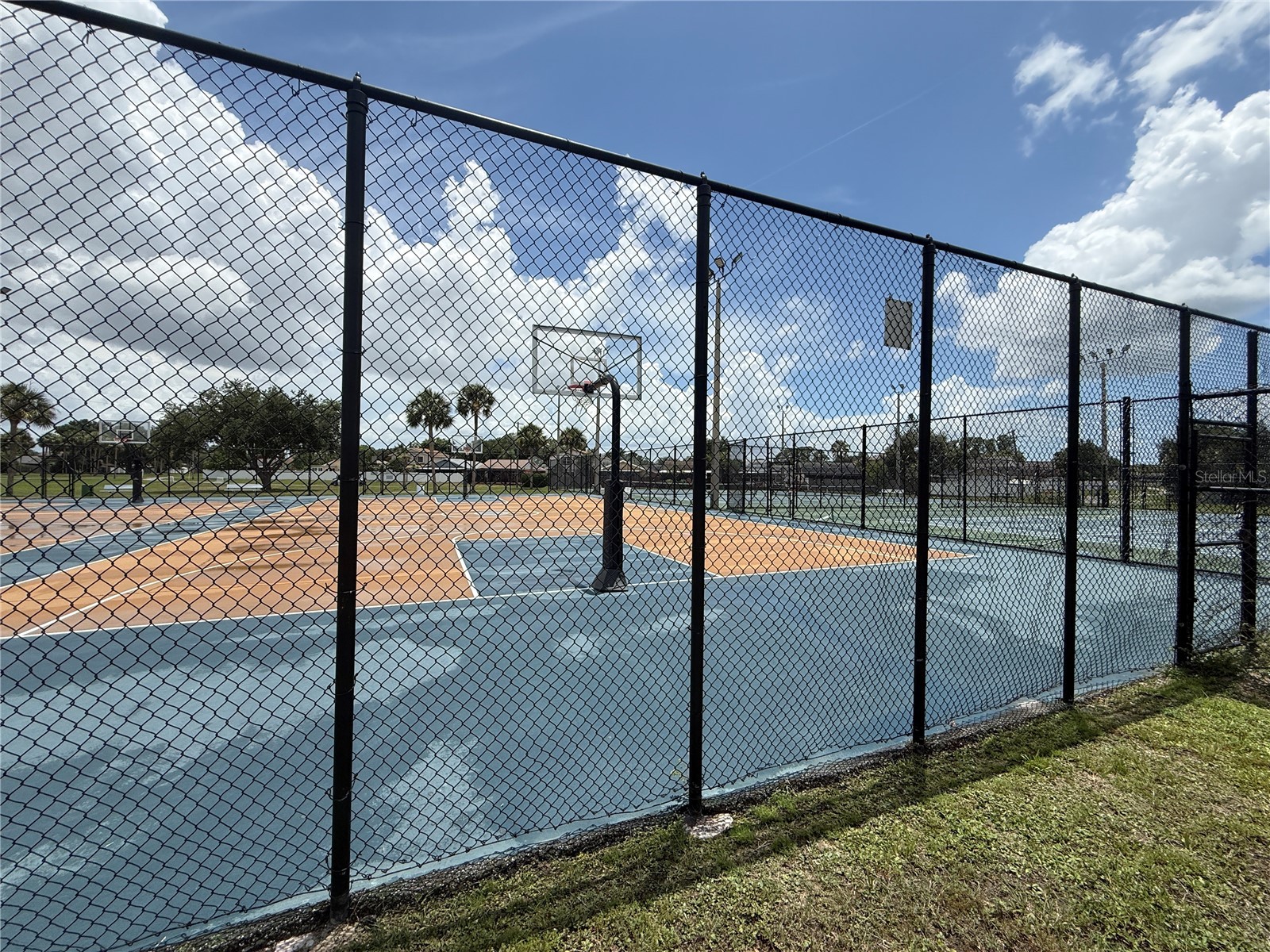 10009 Regal Woods Lane Tampa FL 33624 TB8524472 image31