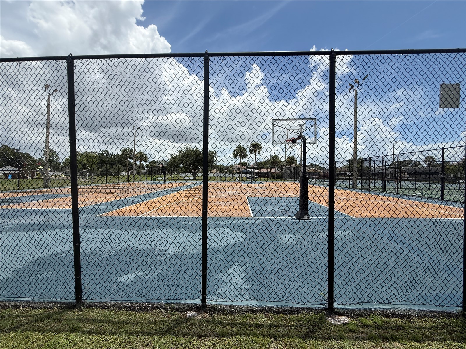 10009 Regal Woods Lane Tampa FL 33624 TB8524472 image32