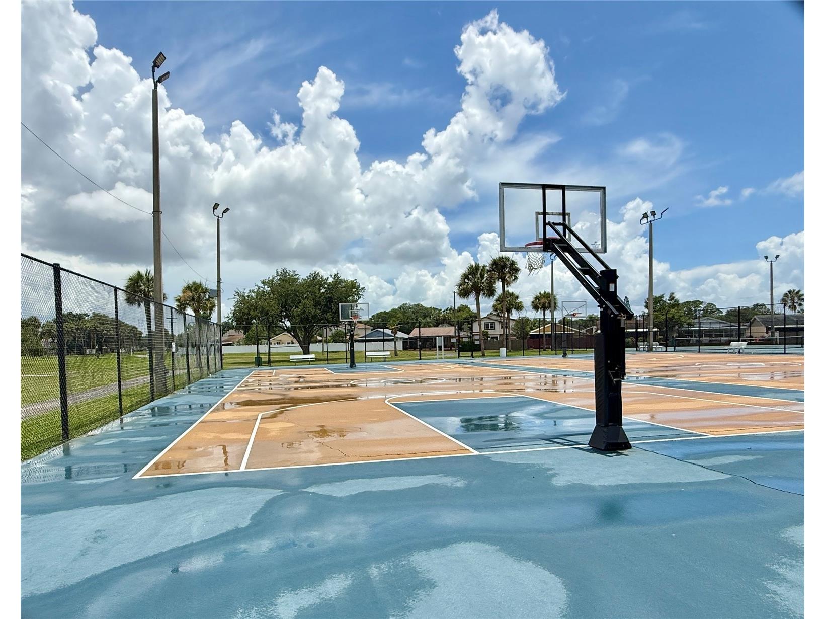 10009 Regal Woods Lane Tampa FL 33624 TB8524472 image34