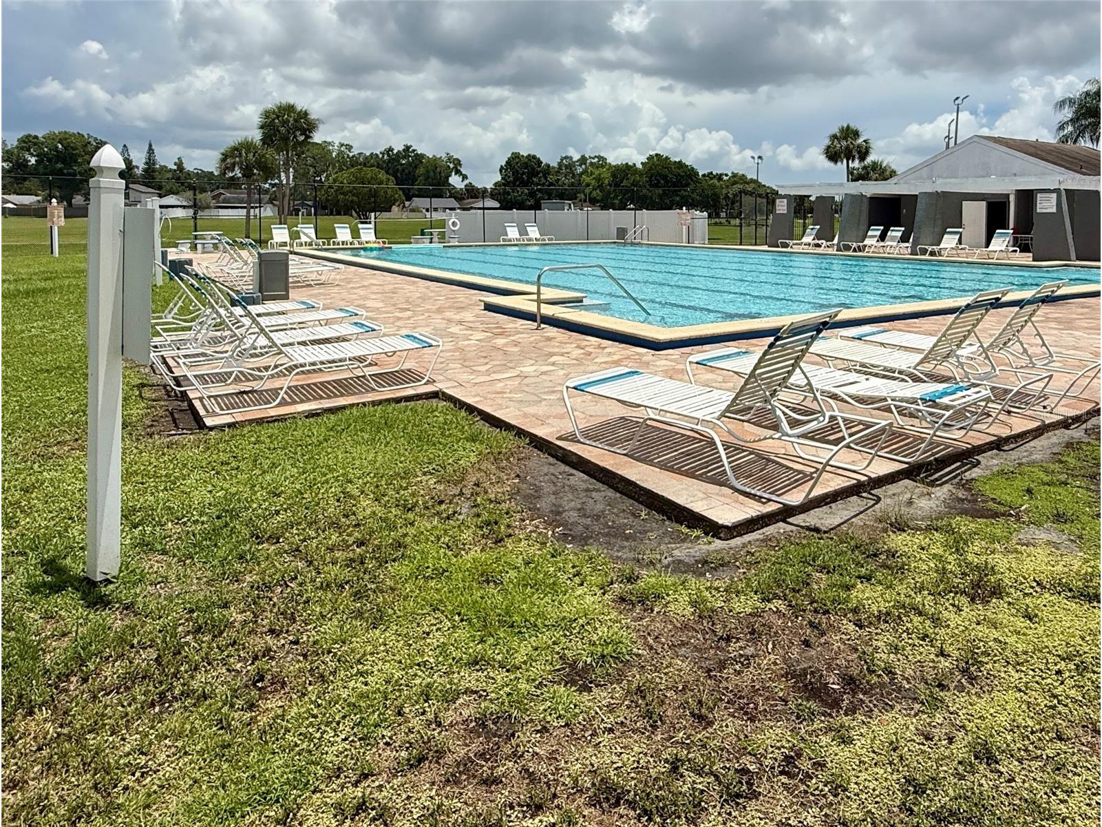 10009 Regal Woods Lane Tampa FL 33624 TB8524472 image35