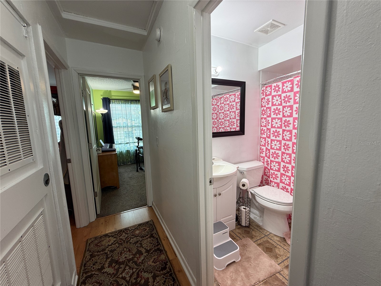 10009 Regal Woods Lane Tampa FL 33624 TB8524472 image4