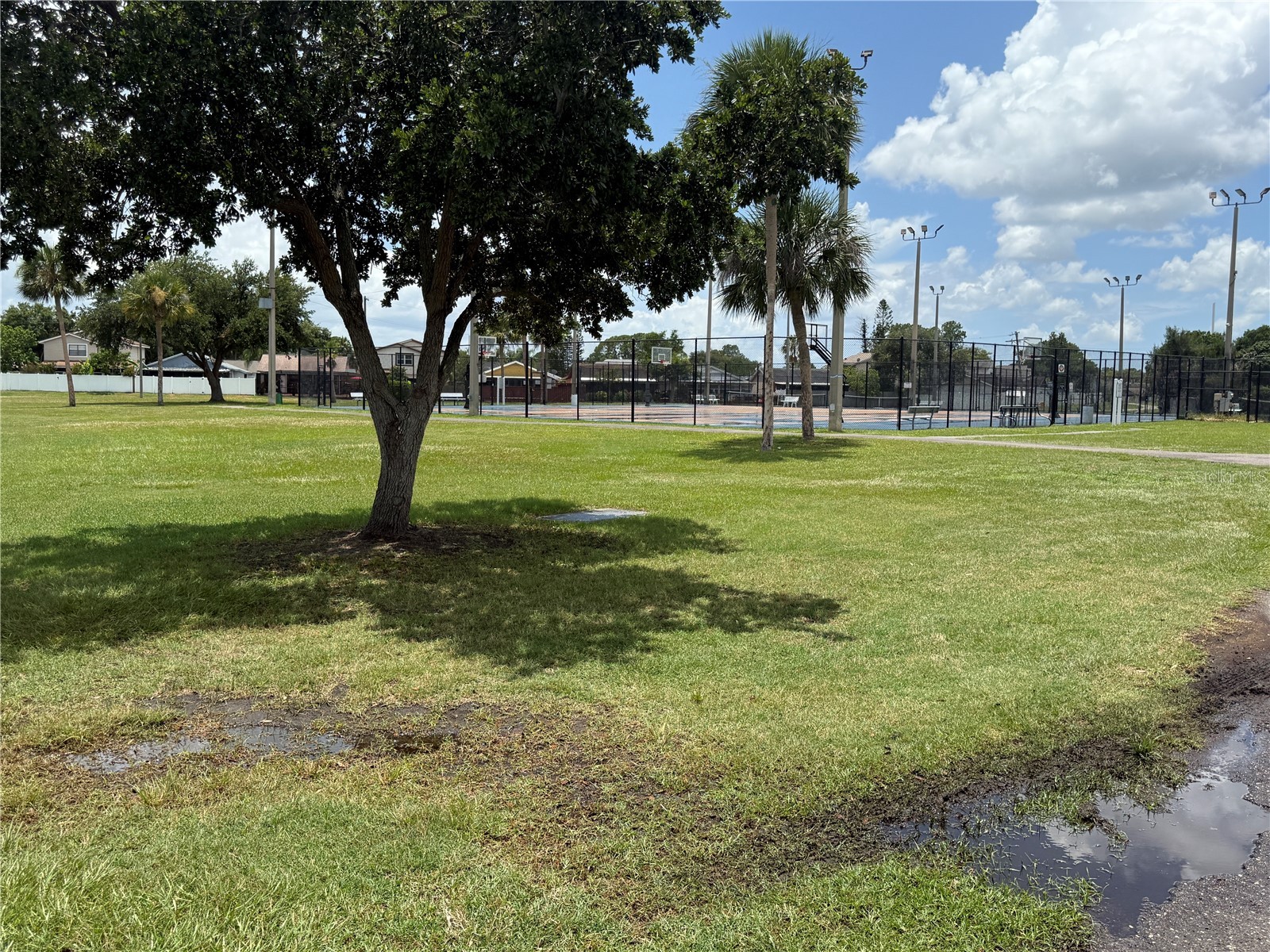 10009 Regal Woods Lane Tampa FL 33624 TB8524472 image42