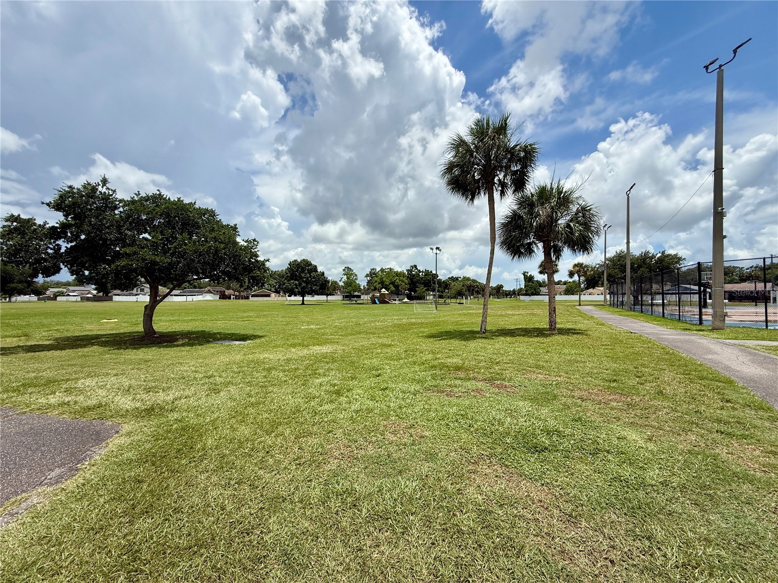 10009 Regal Woods Lane Tampa FL 33624 TB8524472 image44