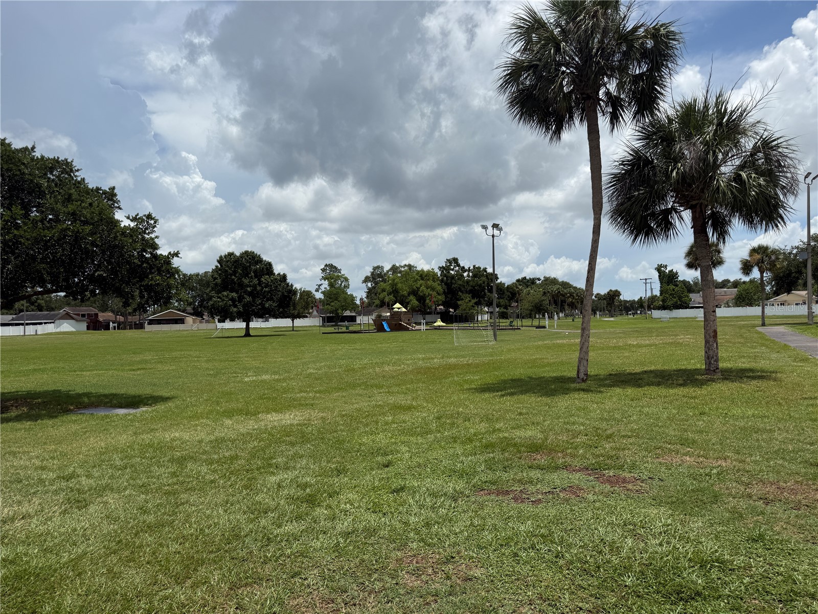 10009 Regal Woods Lane Tampa FL 33624 TB8524472 image45