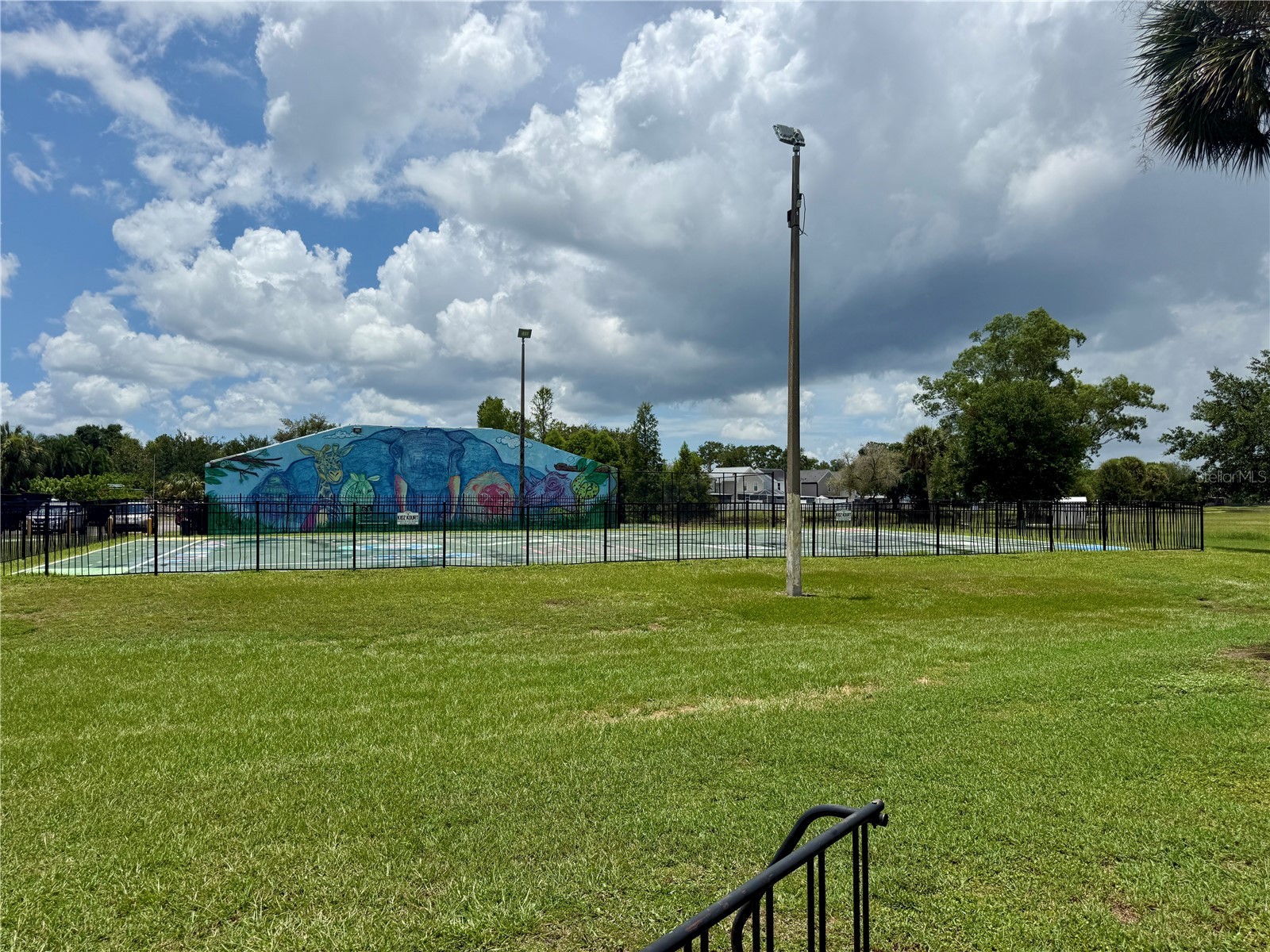 10009 Regal Woods Lane Tampa FL 33624 TB8524472 image46