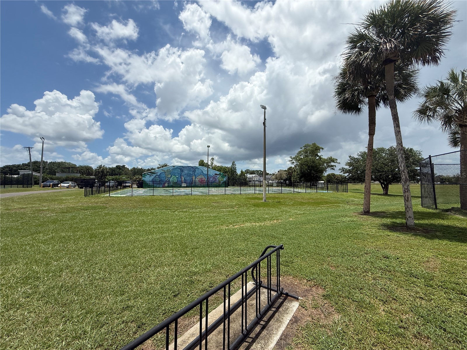 10009 Regal Woods Lane Tampa FL 33624 TB8524472 image47