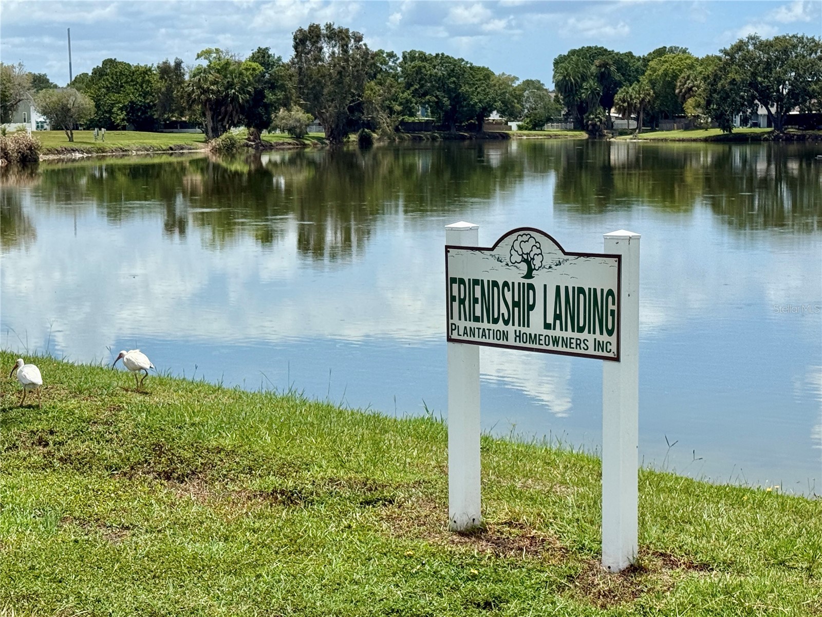 10009 Regal Woods Lane Tampa FL 33624 TB8524472 image48