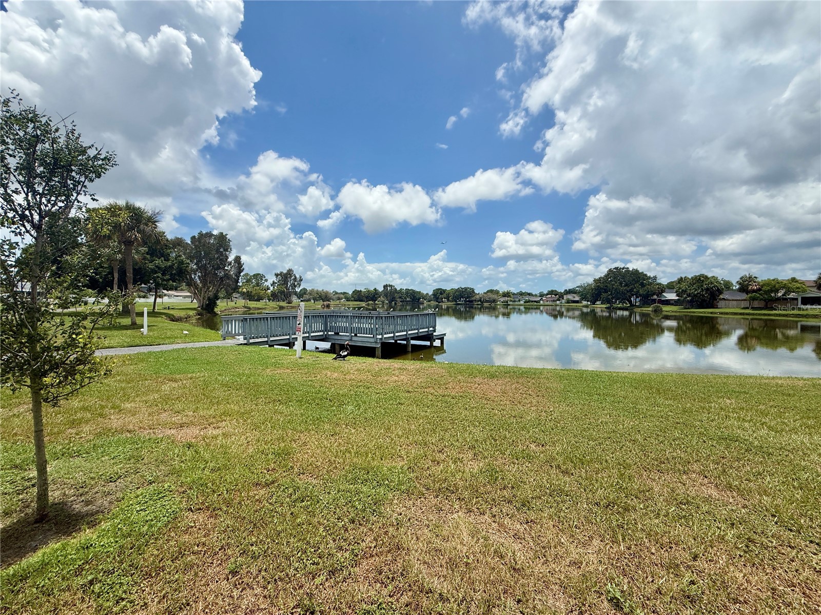 10009 Regal Woods Lane Tampa FL 33624 TB8524472 image50