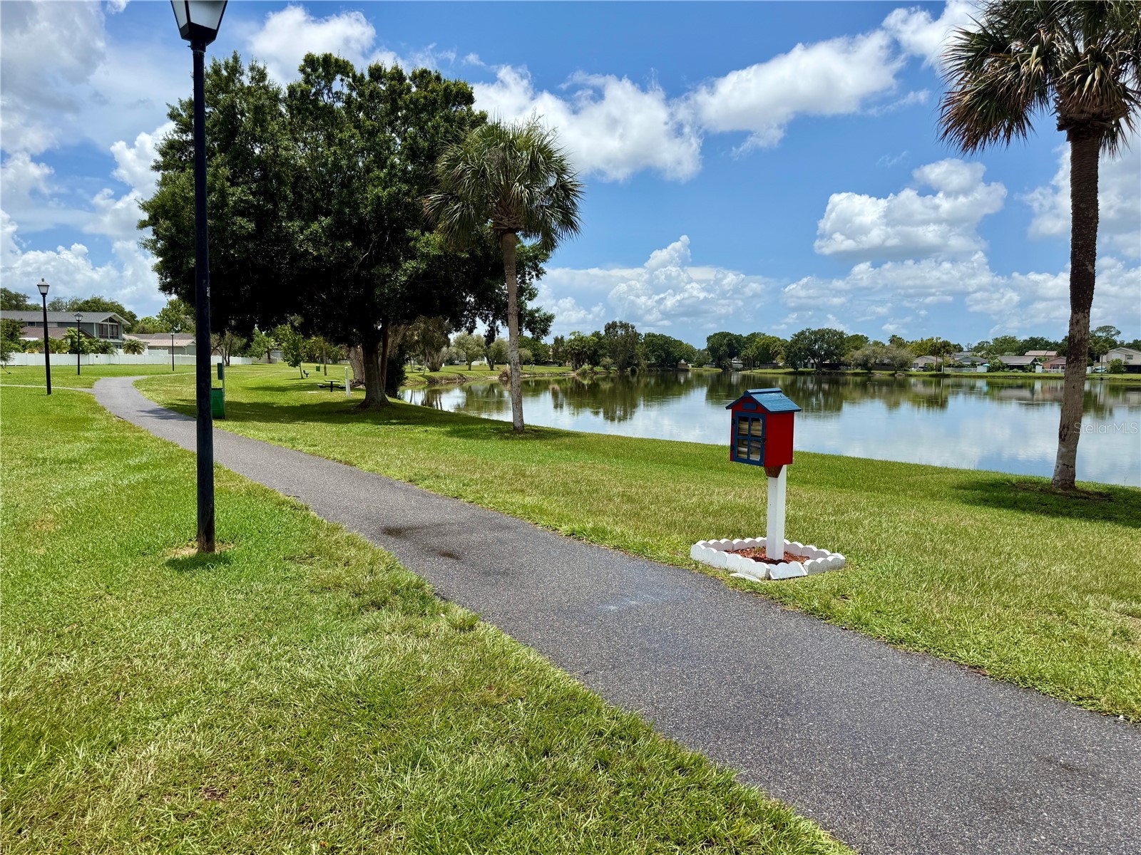 10009 Regal Woods Lane Tampa FL 33624 TB8524472 image51