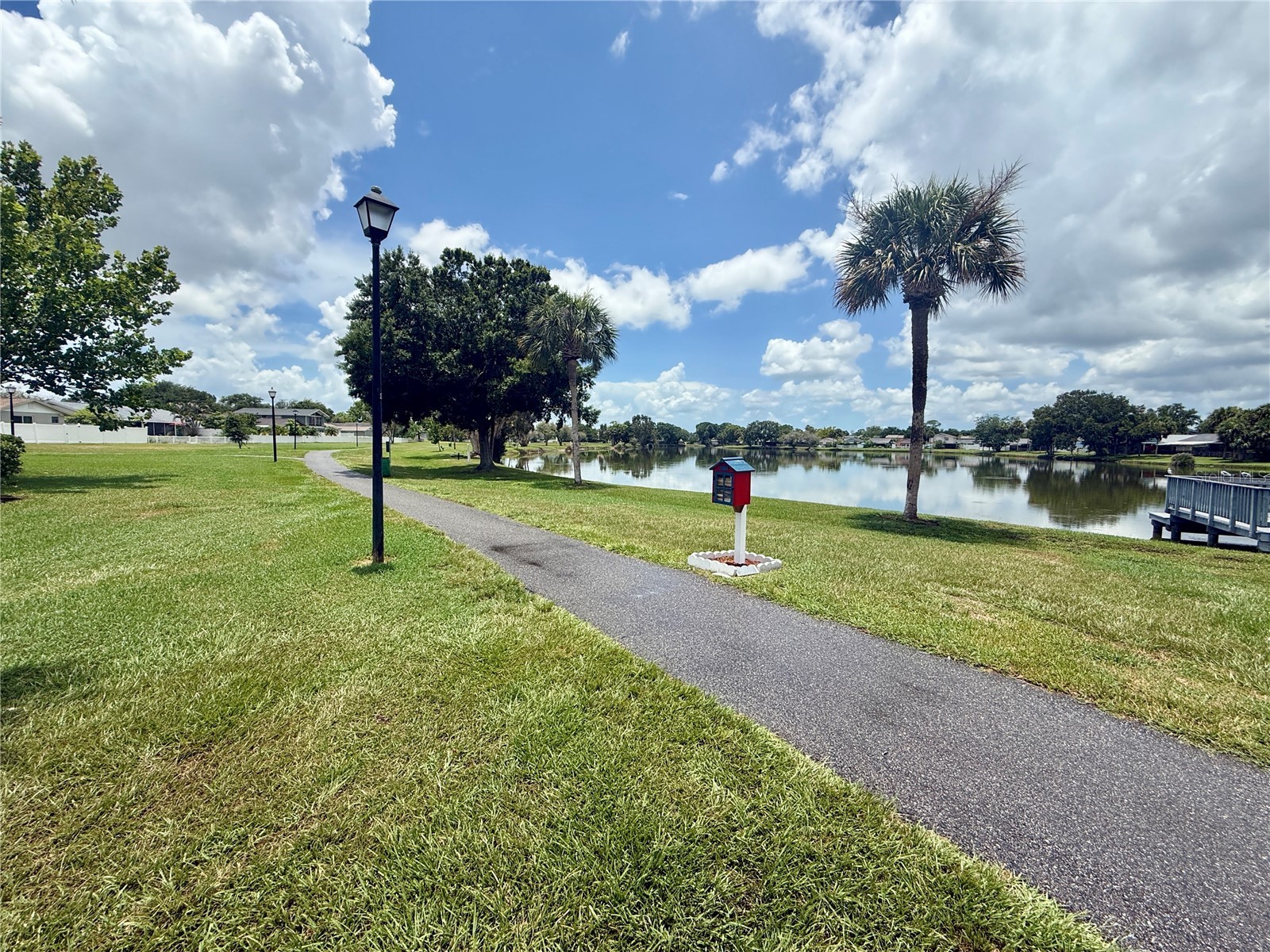 10009 Regal Woods Lane Tampa FL 33624 TB8524472 image52