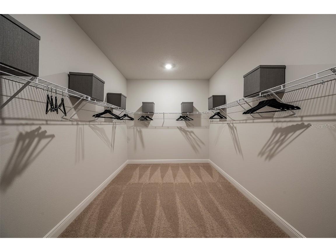 10009 Surrey Rose Drive San Antonio FL 33576 TB8384406 image15